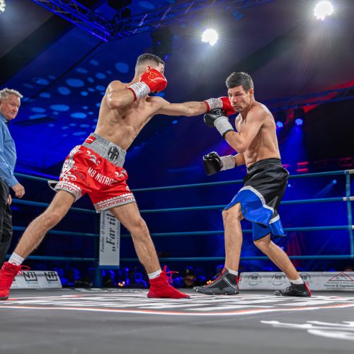 9B1D8B7B-B588-4C52-B45E-318F1154B537